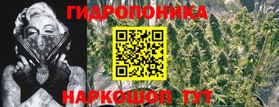 дживик Кимры